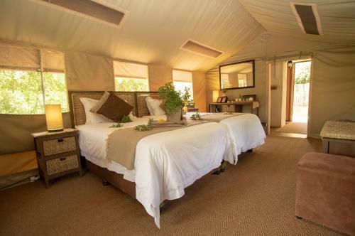 Tembe Elephant Park Lodge