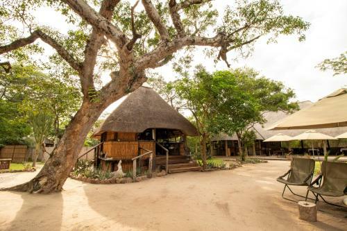 Tembe Elephant Park Lodge