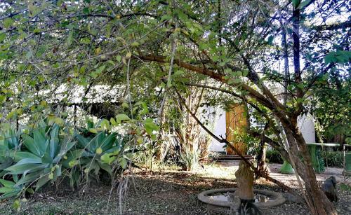 Apartamento Satvik Accommodation