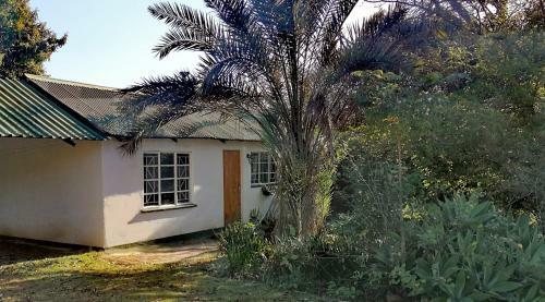 Apartamento Satvik Accommodation
