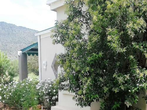 Hostal Jasmine Cottage