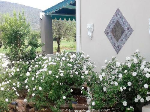 Hostal Jasmine Cottage