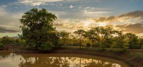 Mafigeni Safari Lodge