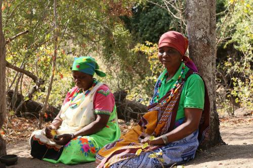 Lodge Baleni Cultural Camp