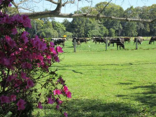 Apartamento Greenfields
