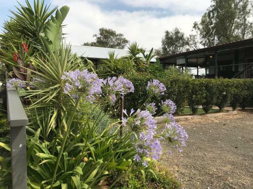Bed & Breakfast Riverside Farm Retreat Bnb