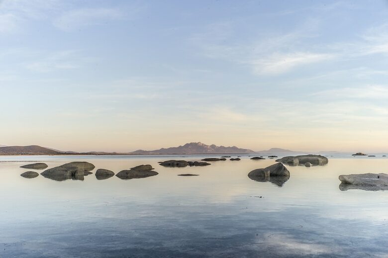Sawyers Bay Shacks