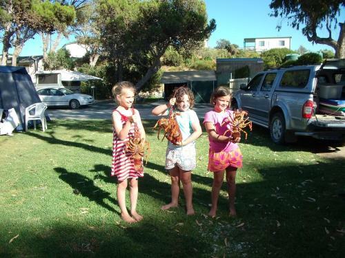 Elliston Waterloo Bay Tourist Park