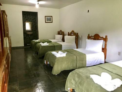 Lodge Jungle Spa E Hotel