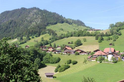 Chalet Park Apartment