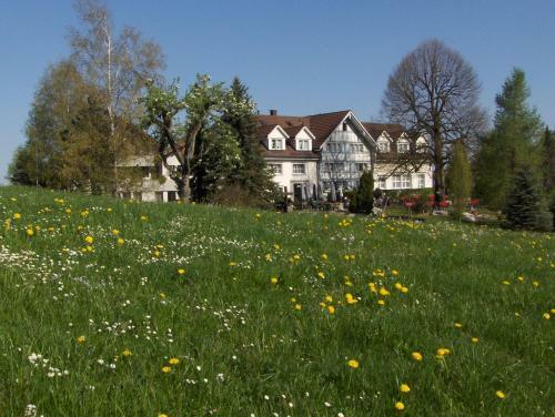 Hotel Wolfensberg
