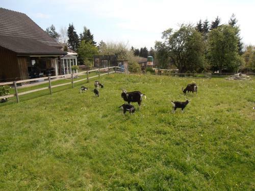 Hotel Don Camillo G�stehaus