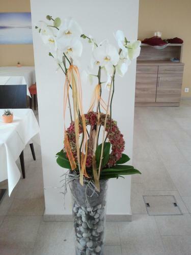 Hotel Restaurant Sokrates
