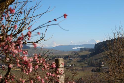 Restaurant Hotel R�ttihubelbad