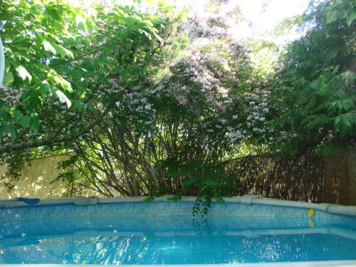 Hotel K�nigssalz Spa