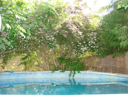 Hotel K�nigssalz Spa