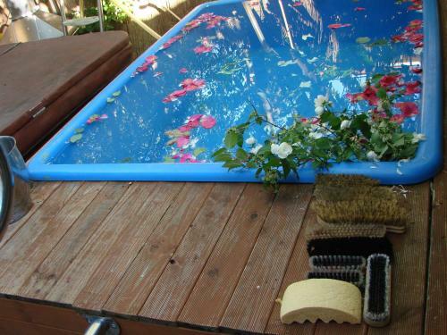 Hotel K�nigssalz Spa