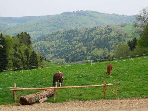 Apartamento La Joux Chaupe