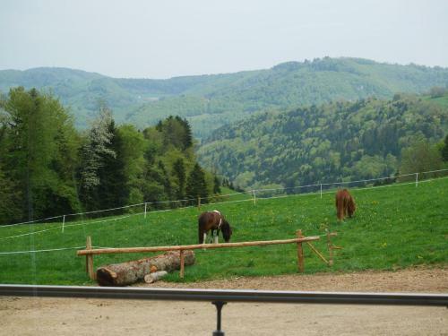 Apartamento La Joux Chaupe