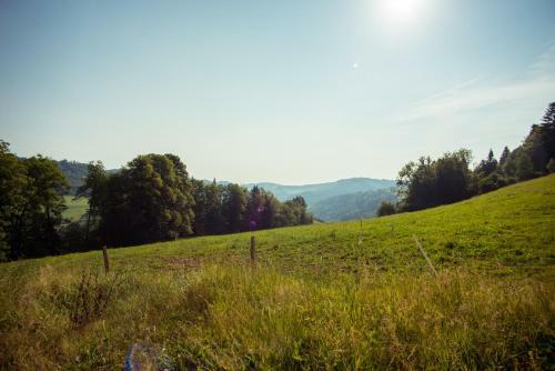 Apartamento La Joux Chaupe