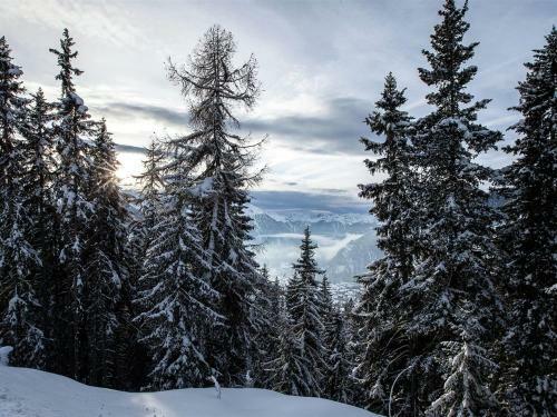 Beautiful Chalet In Binn With Parking