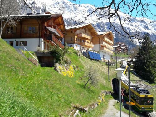 Apartment Chalet Bluemew�g