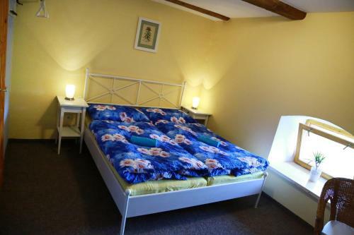 Hostal Z�mek Libou?
