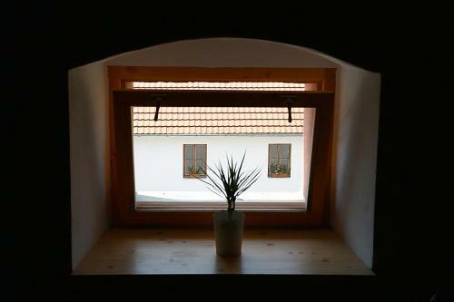 Hostal Z�mek Libou?