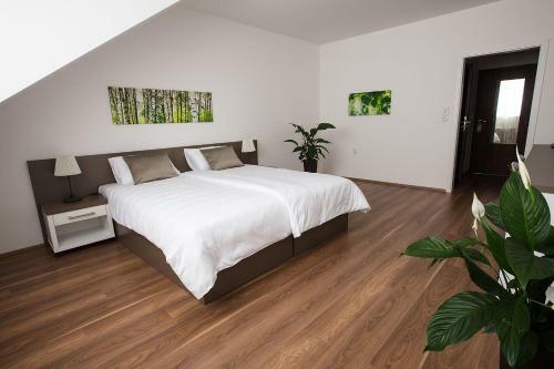 Hostal Penzion Holick� Dv?r