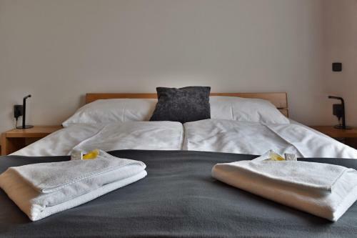 Hostal Pivovar Lindr M?any