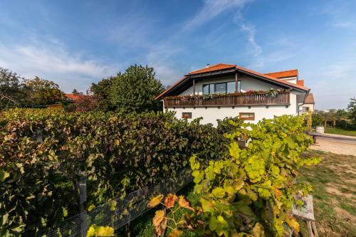 Hostal Vina?stv� V�mola