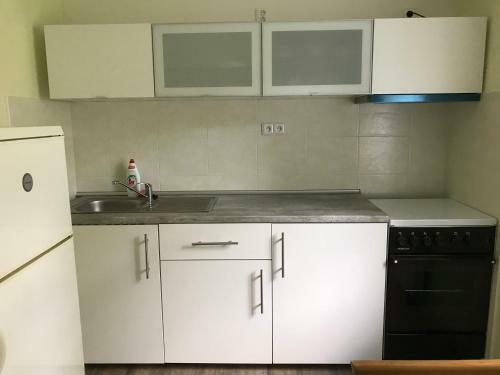 Apartamento Ubytov�n� U Nov�k?