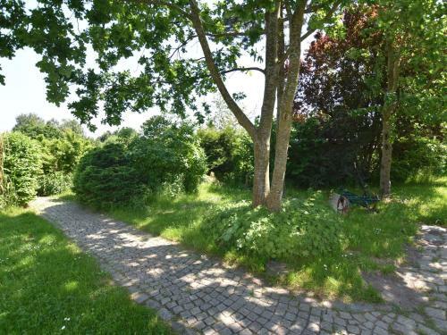 Spacious Apartment In Buschenhagen With Sauna