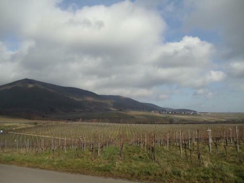 Weinhotel Kienle