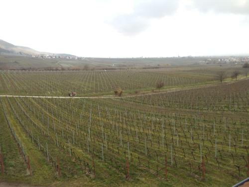 Weinhotel Kienle