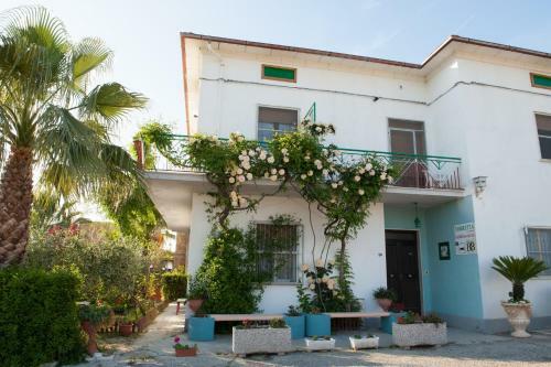Bed And Breakfast Torretta