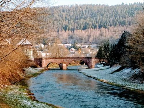 Apartamento Ferienwohnungen Calwer H�fle City