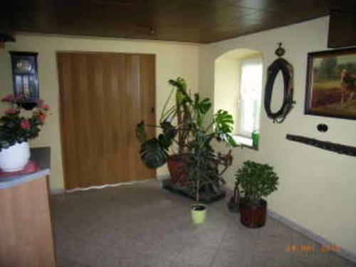 Hostal Pension Scherzer