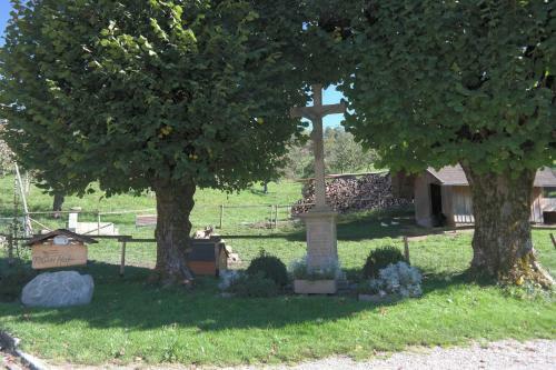 Agroturismo Maierhof