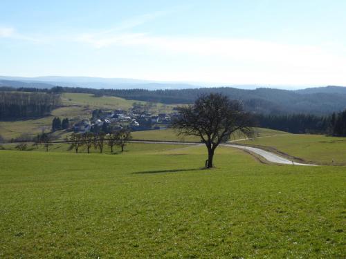 Am Rosenberg 9
