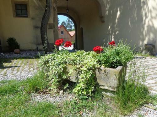 Apartamento Wildberghof
