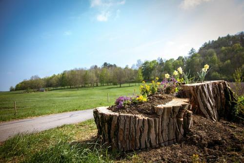 Apartamento Wildberghof