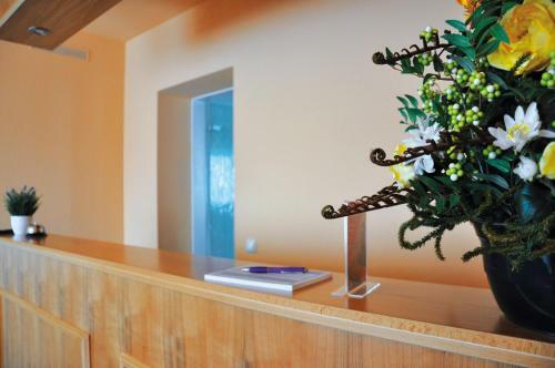 Garni Hotel Alber