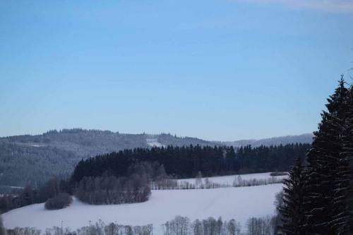 Chalet Leithenwald