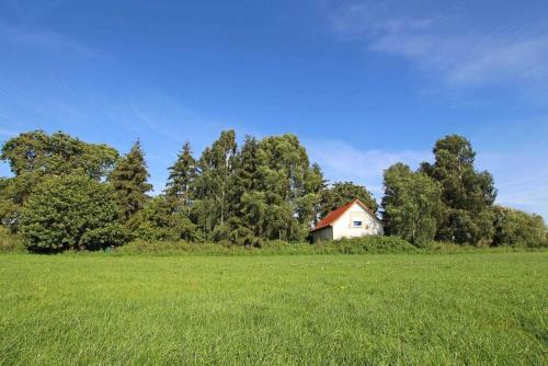 Ferienhaus Zwiedorf See 9311