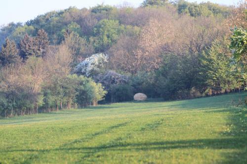 Ferienh�user Am Hainich