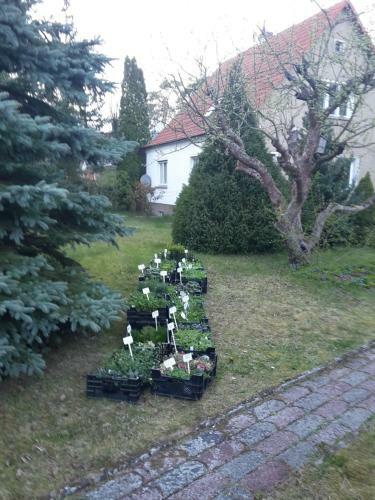 Apartamento Kr�uter-heidi