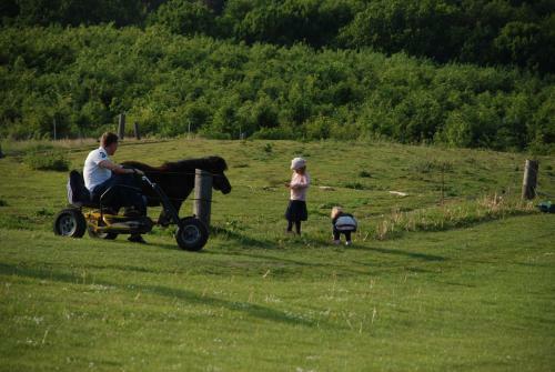 Agroturismo Lille Grynborg