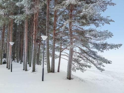 Holiday Home J�rvenranta