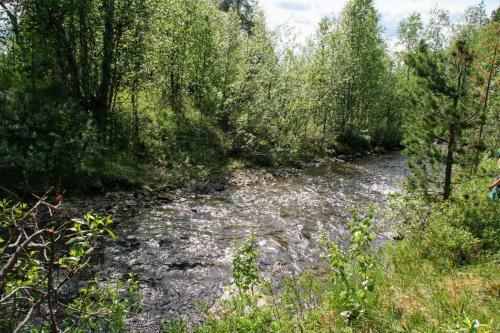 Paltto El�mysretket